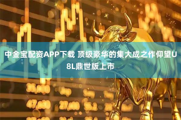 中金宝配资APP下载 顶级豪华的集大成之作仰望U8L鼎世版上市