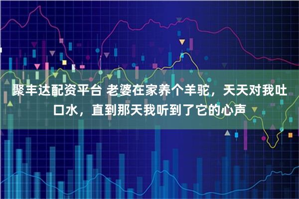 聚丰达配资平台 老婆在家养个羊驼,天天对我吐口水,直到那天我听到了它的心声