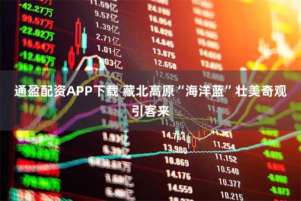 通盈配资APP下载 藏北高原“海洋蓝”壮美奇观引客来
